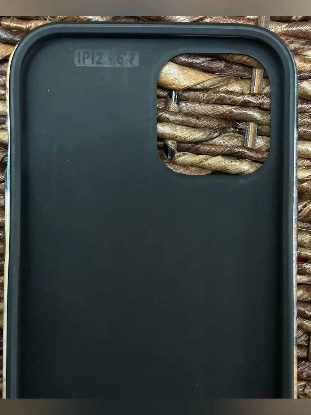 Apple iPhone 12 Pro Max 19th-century Kitten Art Protective Case